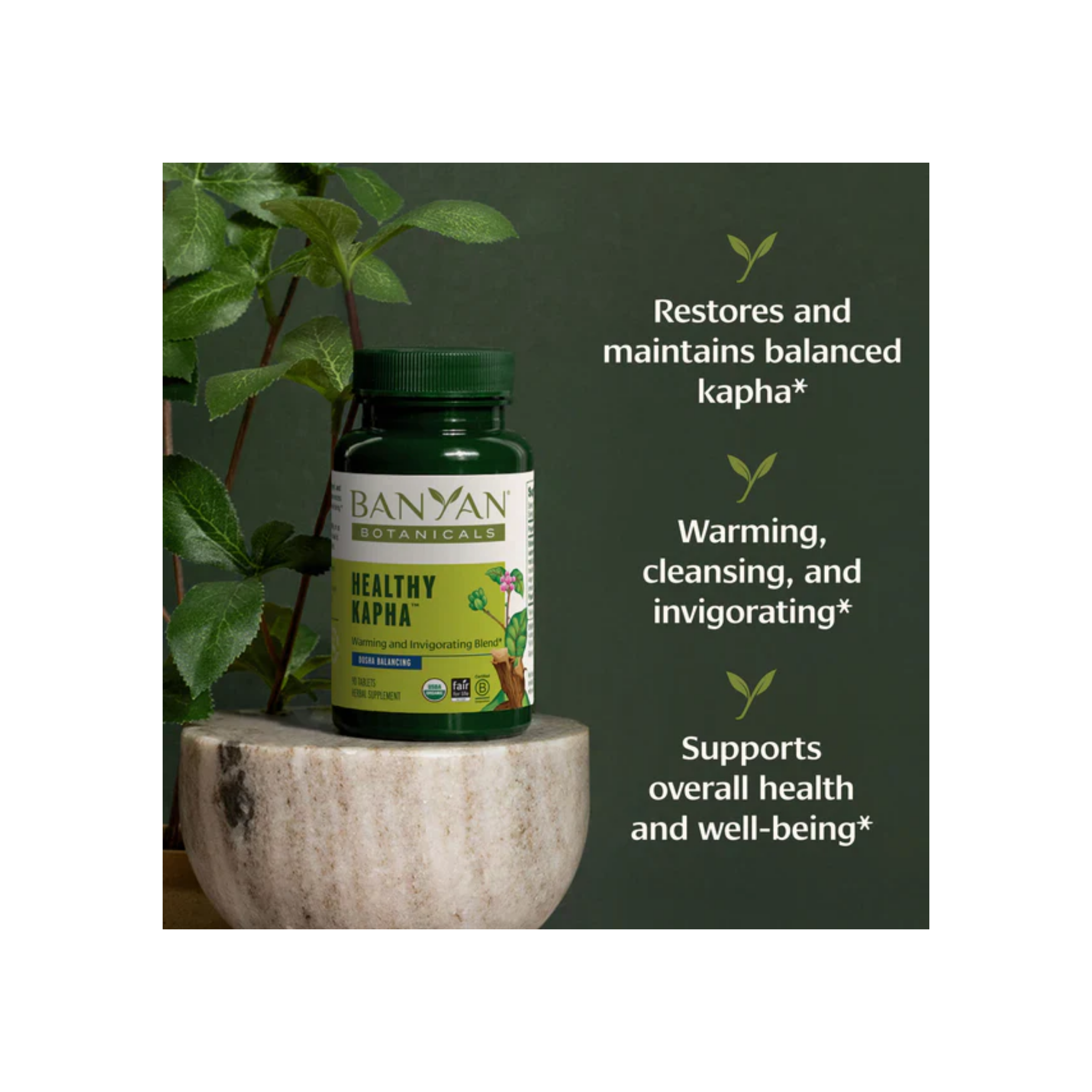 Banyan Botanicals Healthy Kapha Tablets