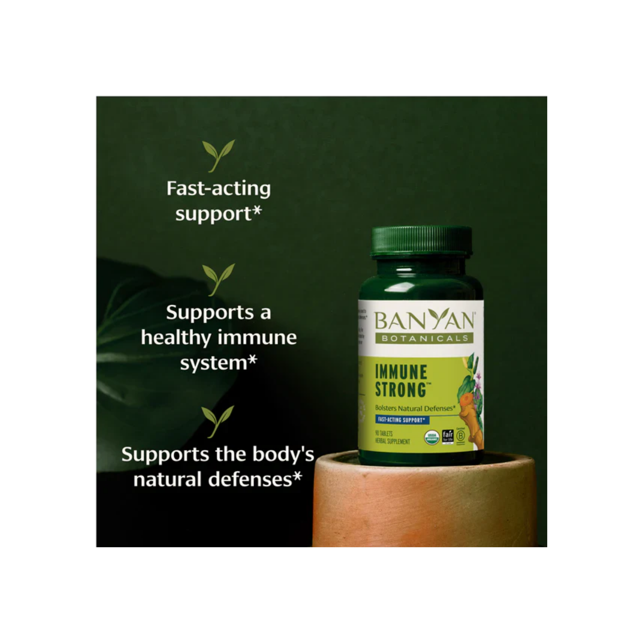 Banyan Botanicals Immune Strong Tablets