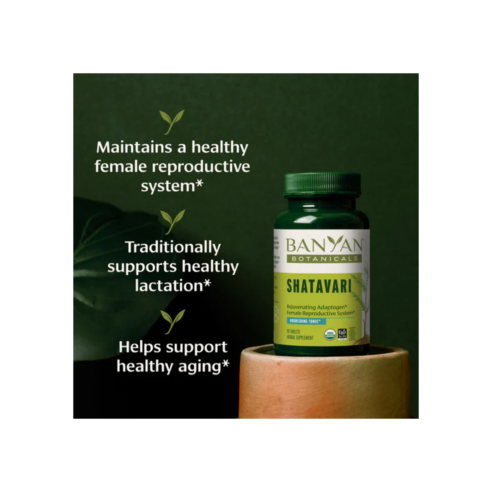 Banyan Botanicals Shatavari Tablets