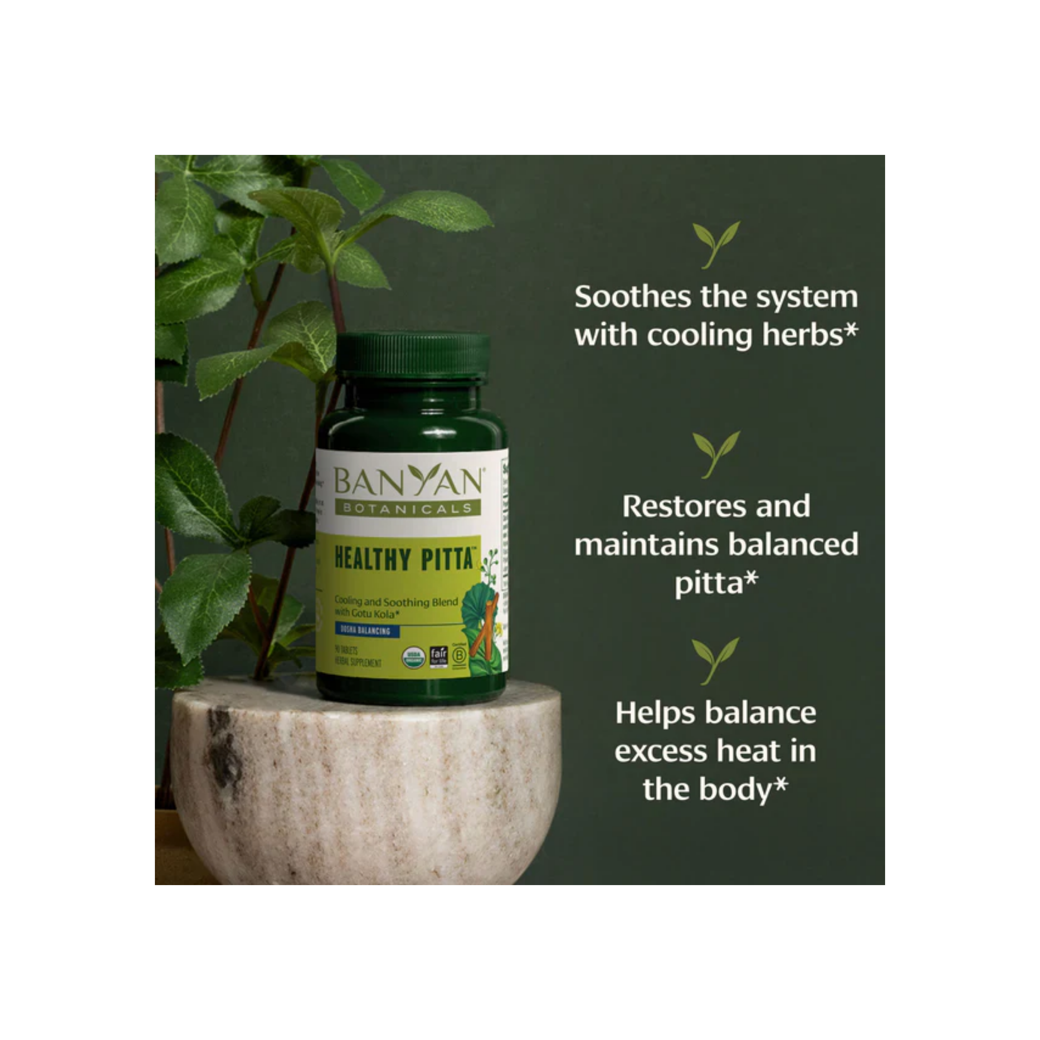 Banyan Botanicals Healthy Pitta Tablets