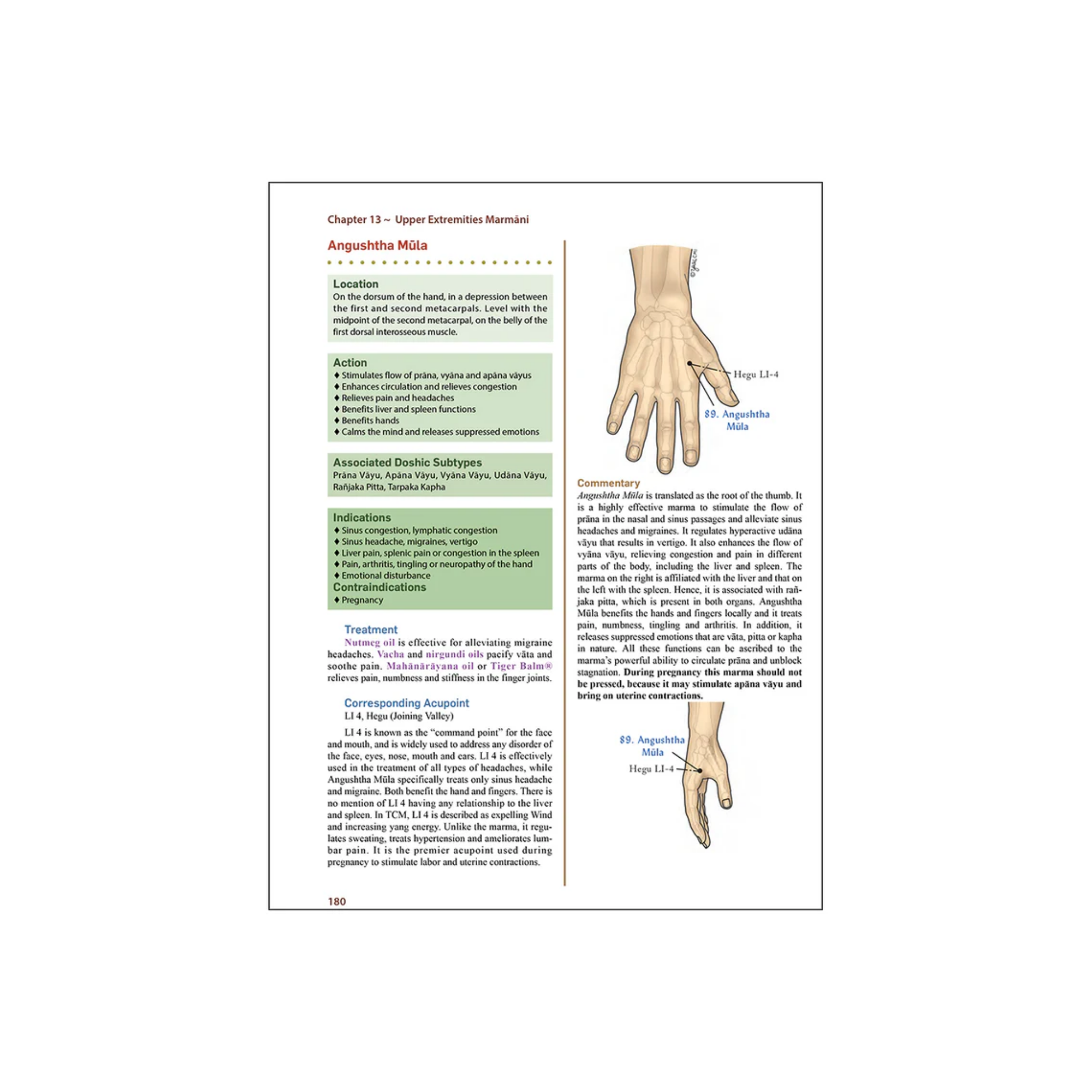 Marma Points of Ayurveda - Softcover by Dr. Vasant Lad