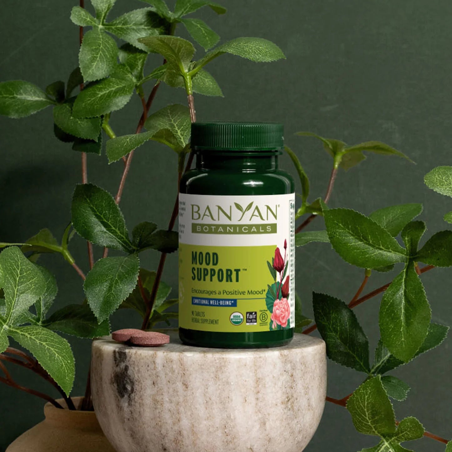 Banyan Botanicals Mood Support Tablets