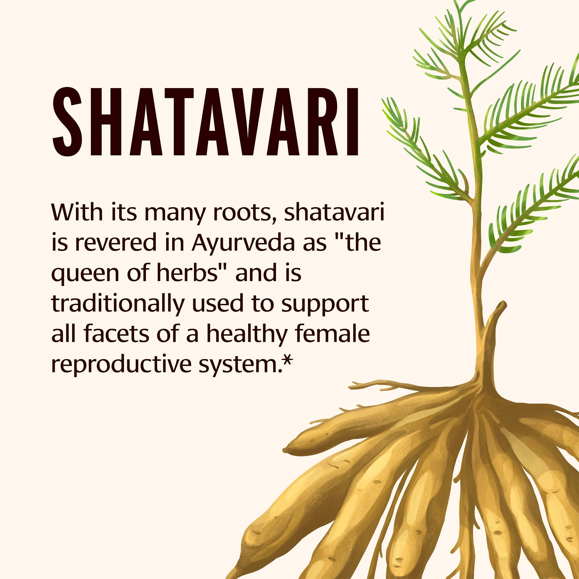 Sidha Soma Supreme Shatavari Ghee (Now Vital Nourish Ghee) (7.5 oz)