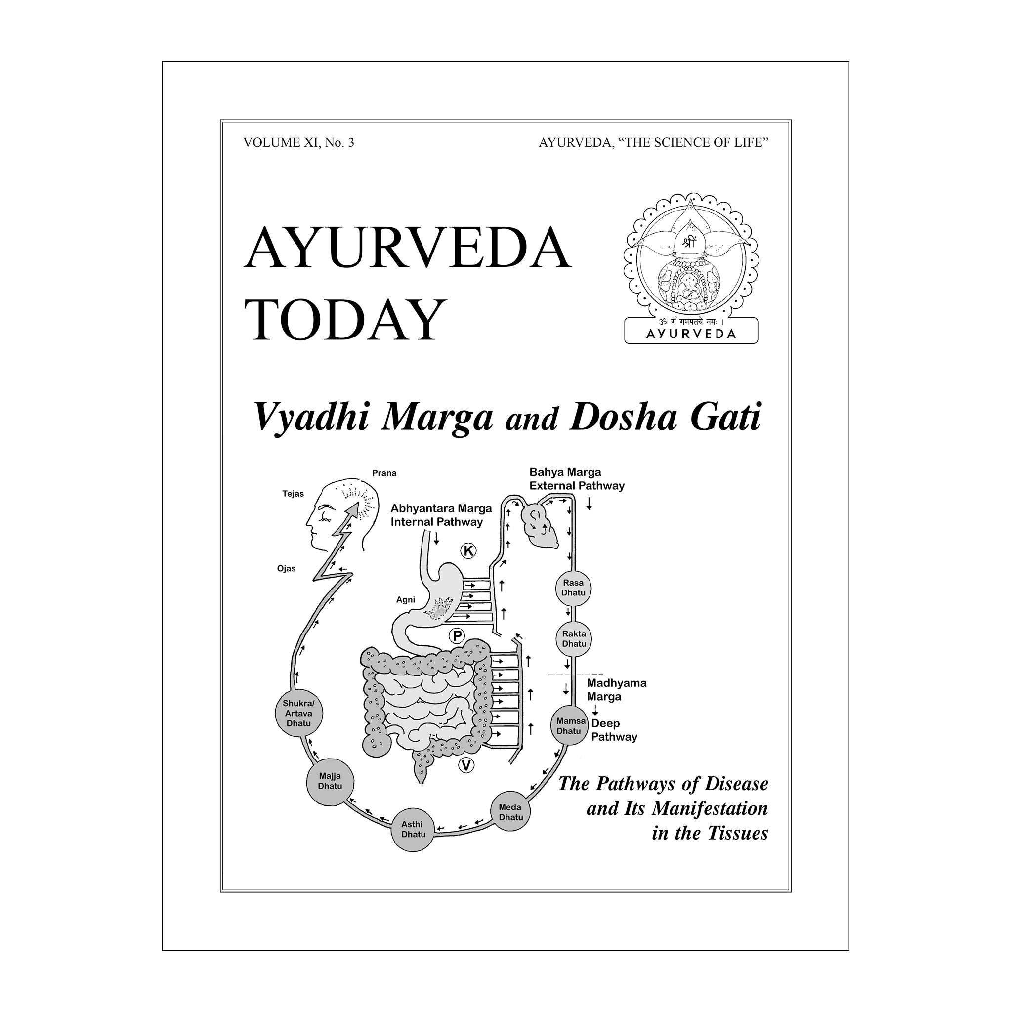 1998 Winter Ayurveda Today