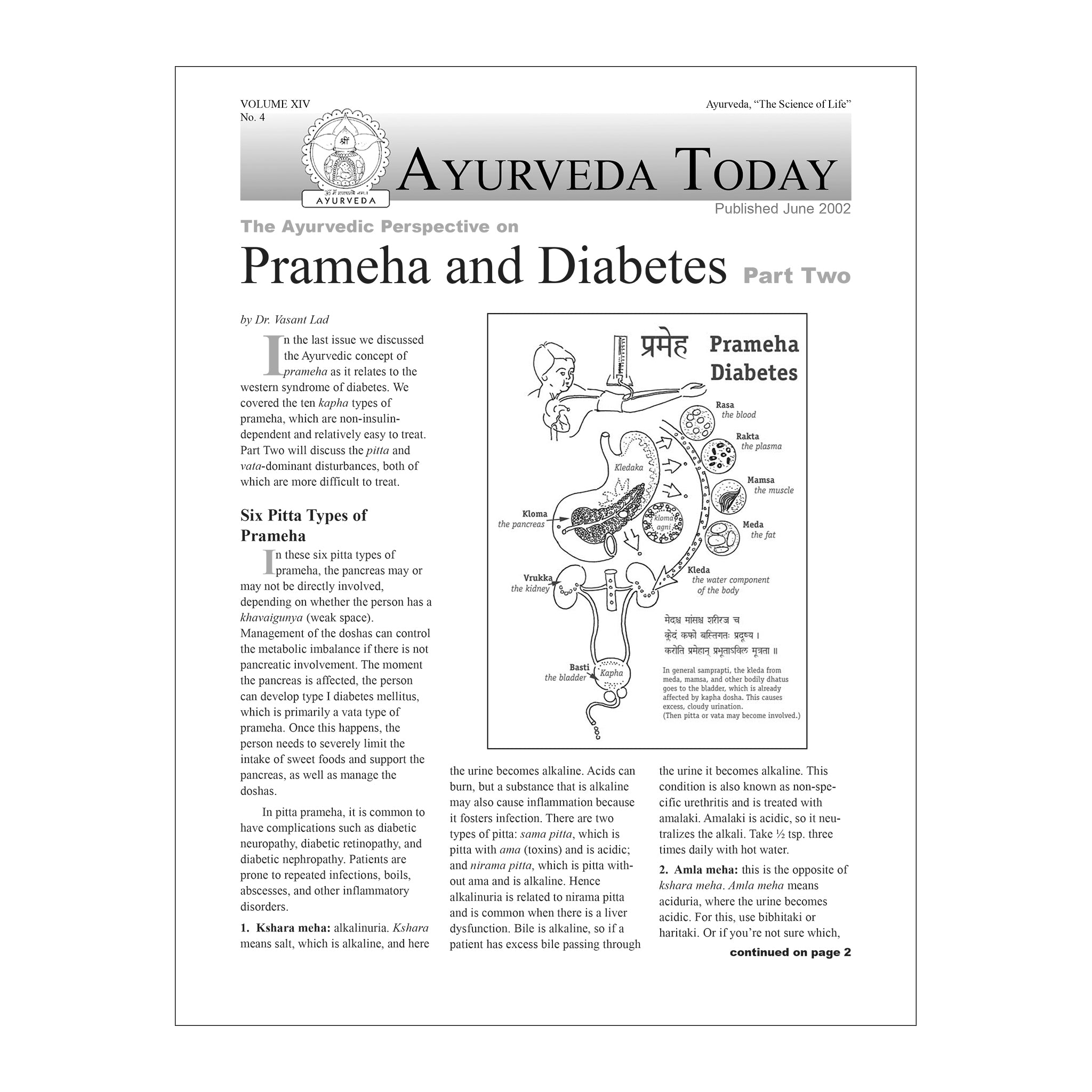 2002 Spring Ayurveda Today