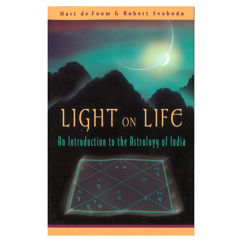 Light on Life by Hart De Fouw and Robert E Svoboda