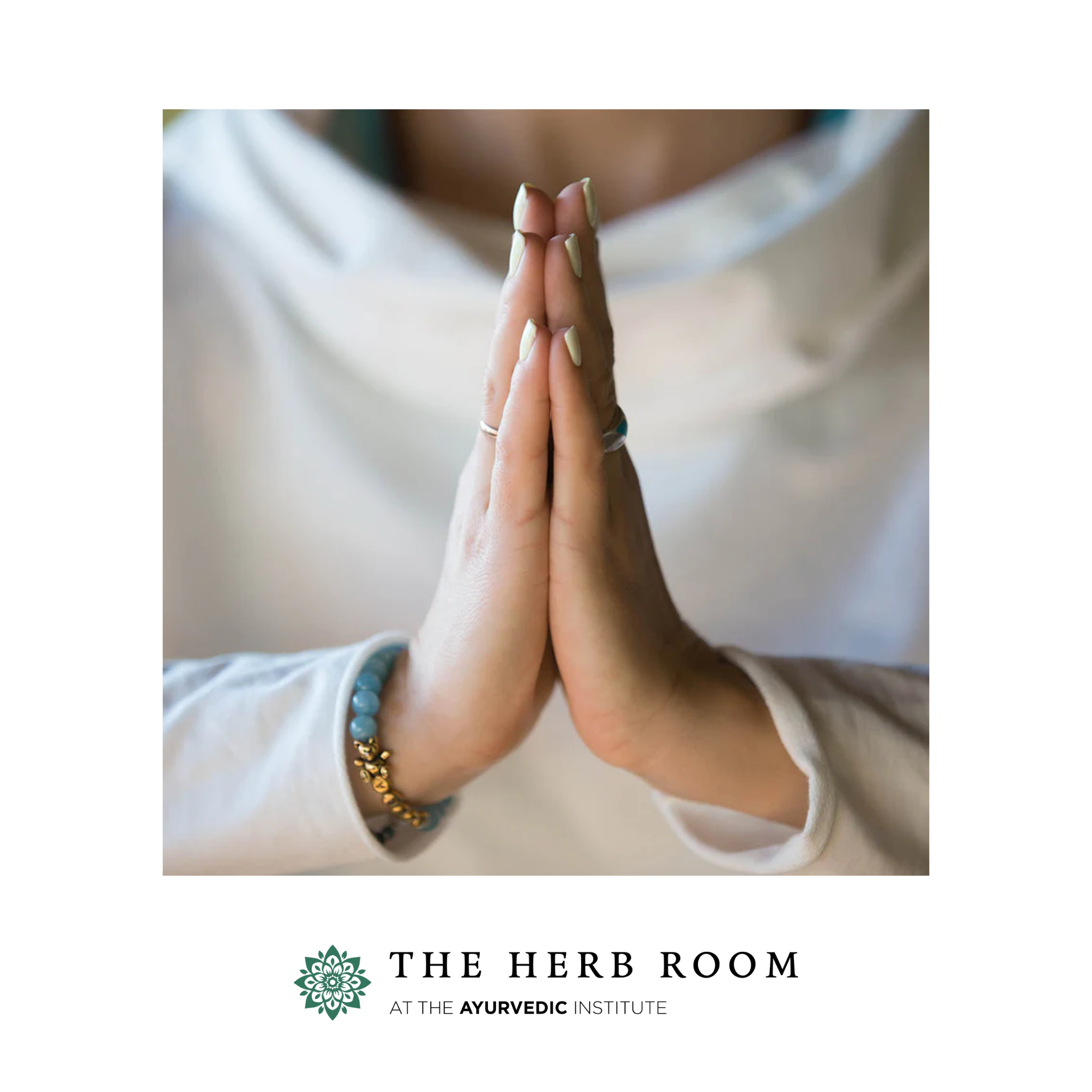 Ayurvedic Institute Donation to the Ayurvedic Institute