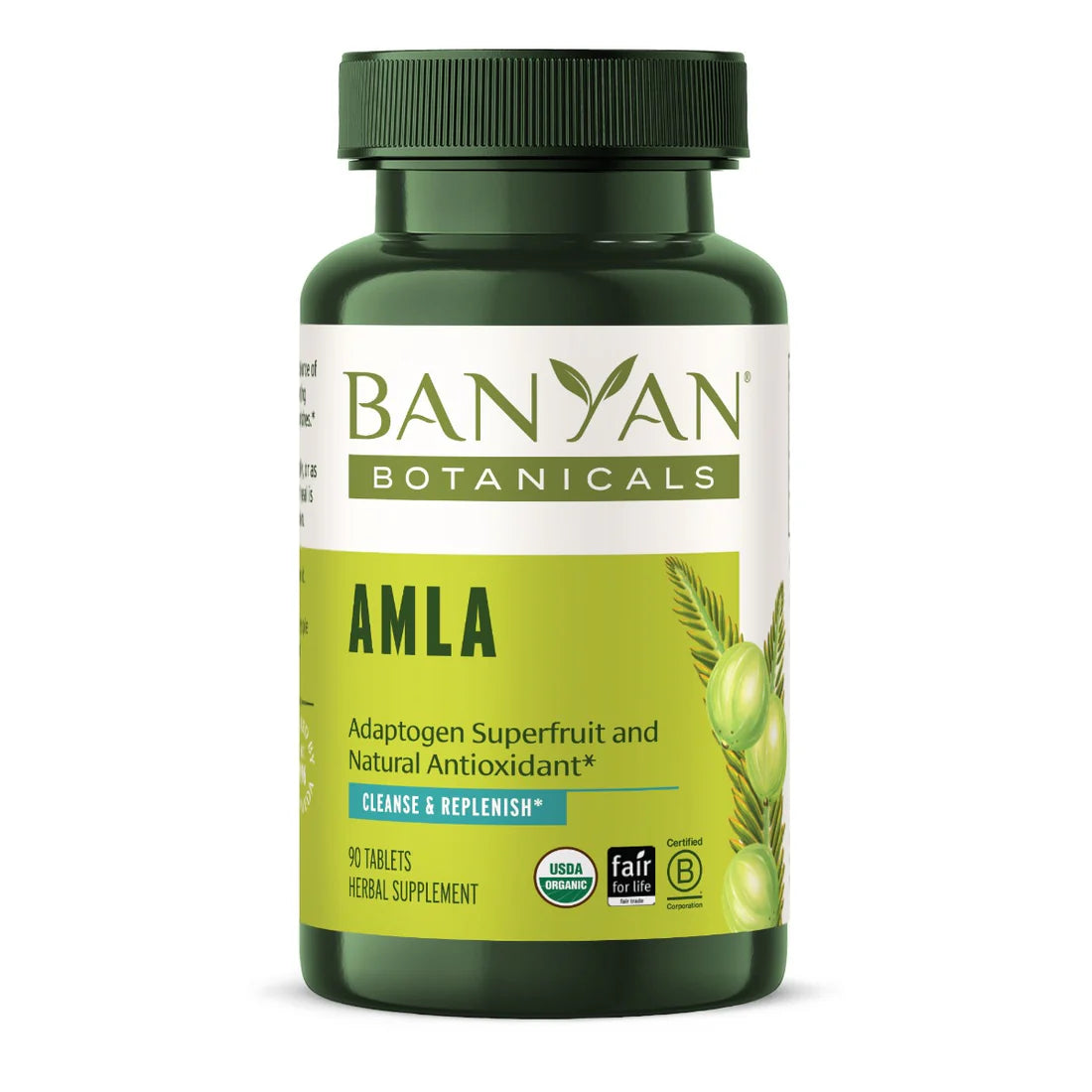 Banyan Botanicals Amalaki Tablets