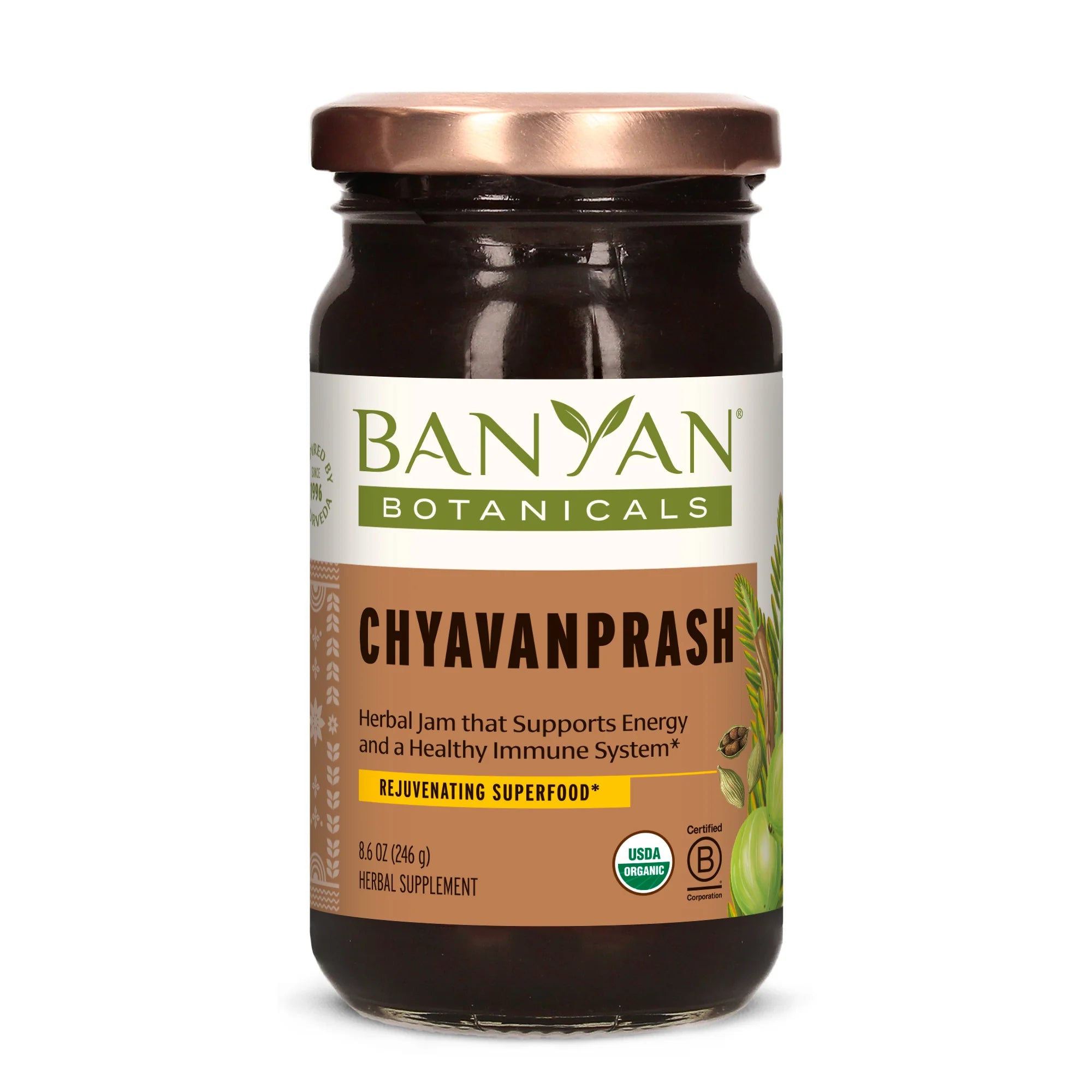 Banyan Botanicals Chyavanprash (8.6 oz)