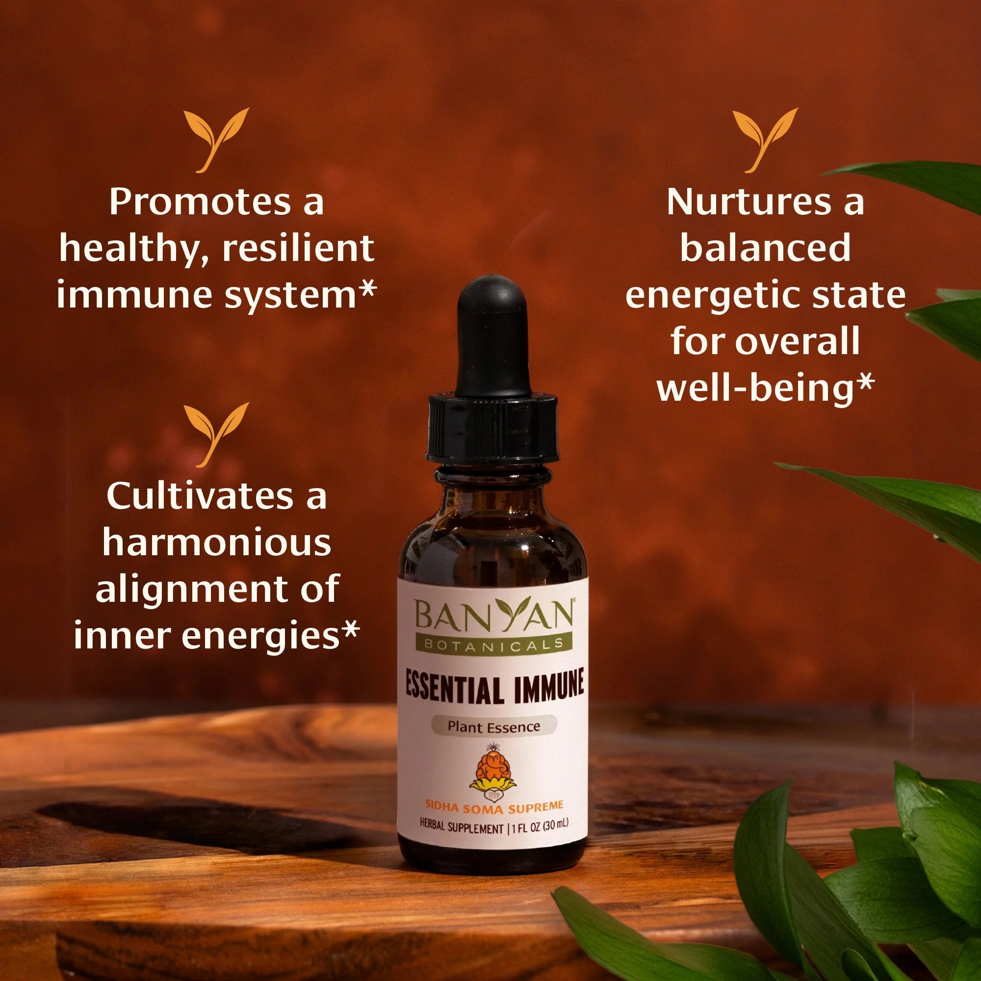 Sidha Soma Supreme Ayurbiotic Extract (1 fl oz) (Now Essential Immune)
