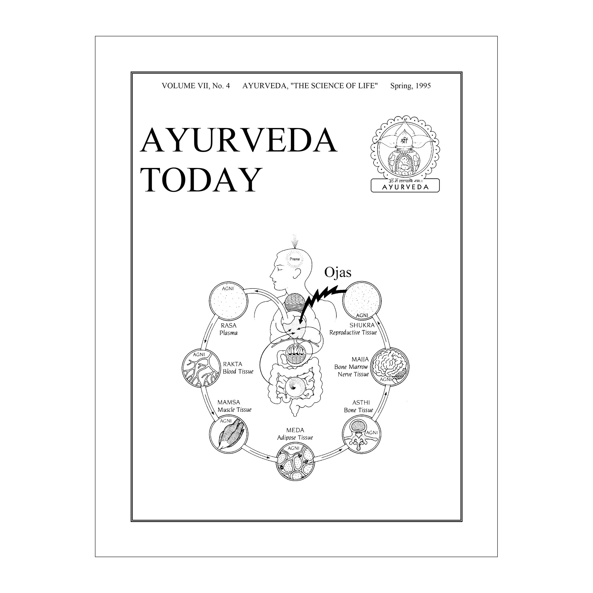 1995 Spring Ayurveda Today