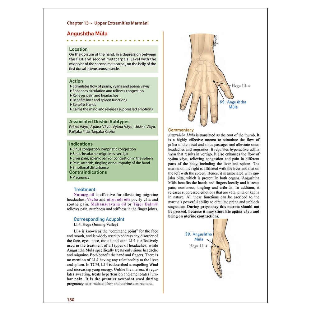 Marma Points of Ayurveda - Softcover by Dr. Vasant Lad